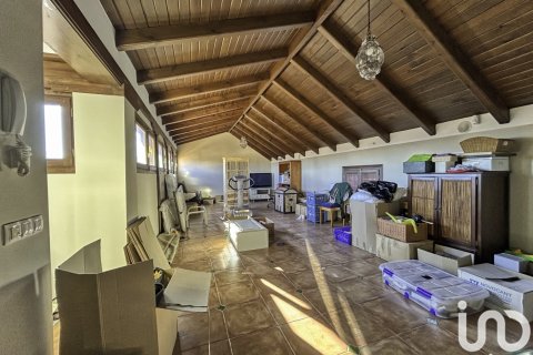 Māja pārdošanā Almagro, Ciudad Real, Spānijā 4 istabas, 450 m2 Nr. 153771 - attēls 20