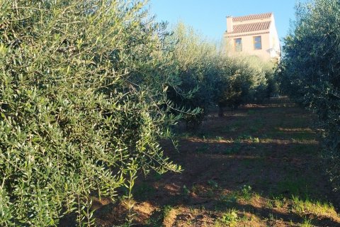 Linnat myytävänä Torredembarra, Tarragona, Espanja, 3 makuuhuonetta, 300 m2 No. 153777 - kuva 9