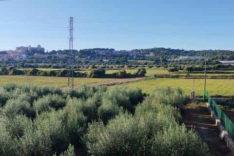 Linnat myytävänä Torredembarra, Tarragona, Espanja, 3 makuuhuonetta, 300 m2 No. 153777 - kuva 28