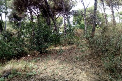Terreno in vendita a Palafolls, Barcelona, Spagna N° 191580 - foto 17