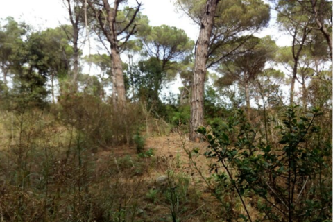 Terreno in vendita a Palafolls, Barcelona, Spagna N° 191580 - foto 16