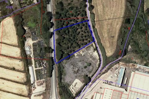 Terreno in vendita a Palafolls, Barcelona, Spagna N° 191580 - foto 2