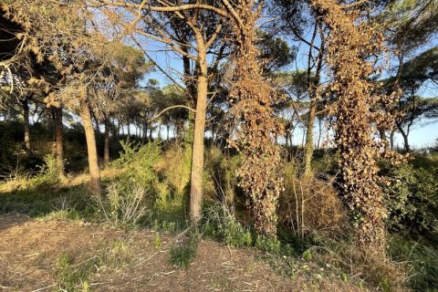 Terreno in vendita a Palafolls, Barcelona, Spagna N° 191580 - foto 14
