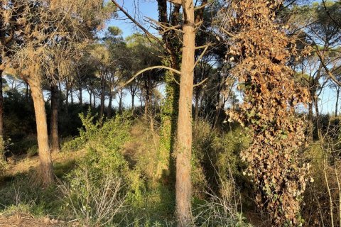 Terreno in vendita a Palafolls, Barcelona, Spagna N° 191580 - foto 13