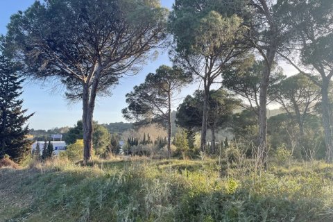 Terreno in vendita a Palafolls, Barcelona, Spagna N° 191580 - foto 11