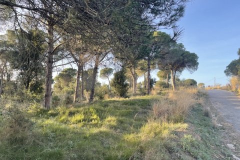 Terreno in vendita a Palafolls, Barcelona, Spagna N° 191580 - foto 9
