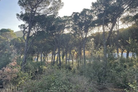 Terreno in vendita a Palafolls, Barcelona, Spagna N° 191580 - foto 7