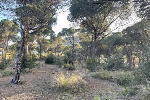 Terreno in vendita a Palafolls, Barcelona, Spagna N° 191580 - foto 8