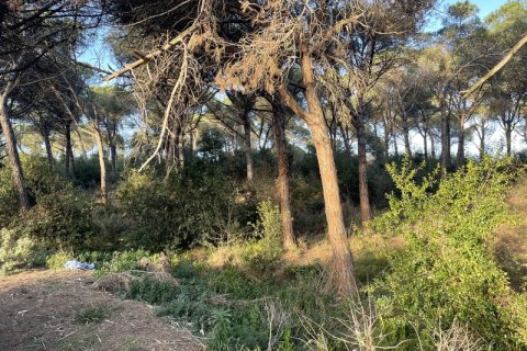Terreno in vendita a Palafolls, Barcelona, Spagna N° 191580 - foto 12