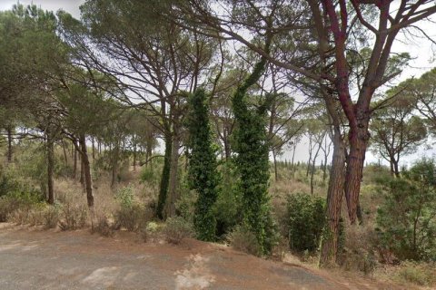 Terreno in vendita a Palafolls, Barcelona, Spagna N° 191580 - foto 15