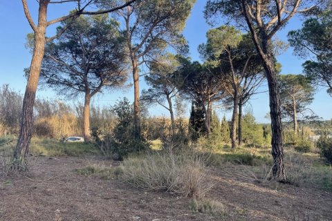 Terreno in vendita a Palafolls, Barcelona, Spagna N° 191580 - foto 6