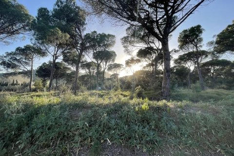 Terreno in vendita a Palafolls, Barcelona, Spagna N° 191580 - foto 10