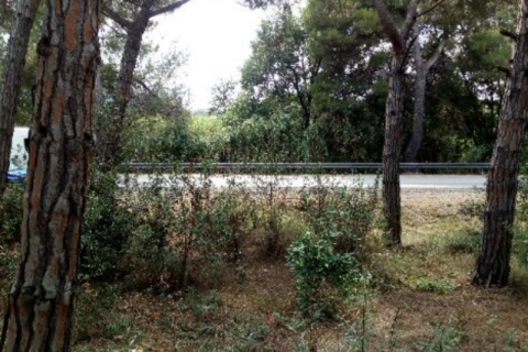 Terreno in vendita a Palafolls, Barcelona, Spagna N° 191580 - foto 18