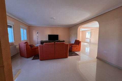 Villa zum Verkauf Torrevieja, Alicante, Spanien 6 Schlafzimmer, 579 m2 Nr. 139855 - Foto 19
