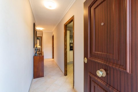 Apartment à vendre Punta Prima, Alicante, Espagne, 3 chambres, 143 m2 No. 138393 - photo 8