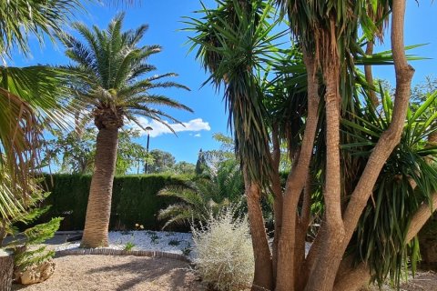 Māja pārdošanā L'Ametlla de Mar, Tarragona, Spānijā 5 istabas, 764 m2 Nr. 154253 - attēls 5