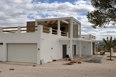 Villa à vendre à Pinoso, Alicante, Espagne, 4 chambres, 283 m2 No. 193335 - photo 4