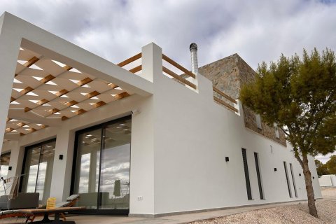 Villa à Pinoso, Alicante, Espagne 4 chambres, 283 m2 No. 193335