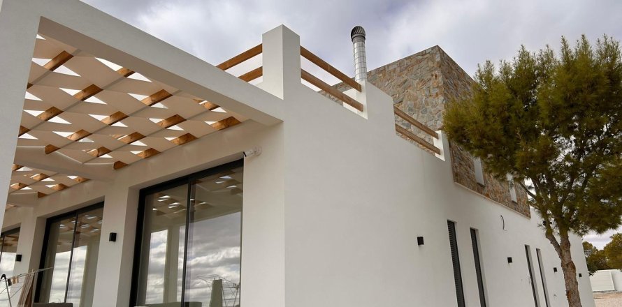 Villa à Pinoso, Alicante, Espagne 4 chambres, 283 m2 No. 193335