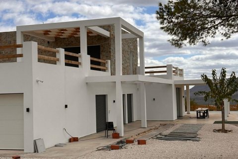 Villa à vendre à Pinoso, Alicante, Espagne, 4 chambres, 283 m2 No. 193335 - photo 3