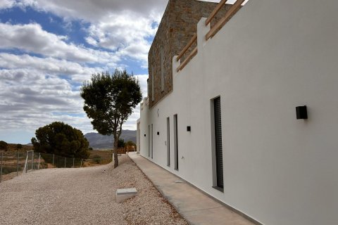 Villa à vendre à Pinoso, Alicante, Espagne, 4 chambres, 283 m2 No. 193335 - photo 25