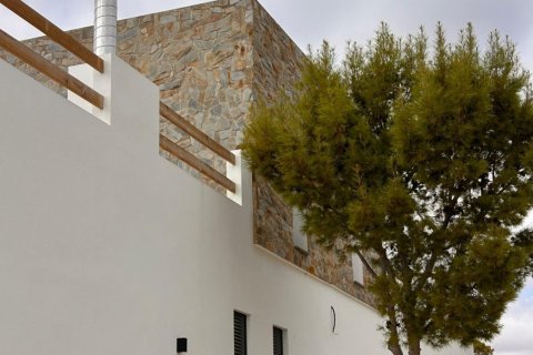 Villa à vendre à Pinoso, Alicante, Espagne, 4 chambres, 283 m2 No. 193335 - photo 29