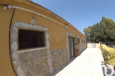 Tontti myytävänä Ulldecona, Tarragona, Espanja , 32675 m2 No. 153205 - kuva 20