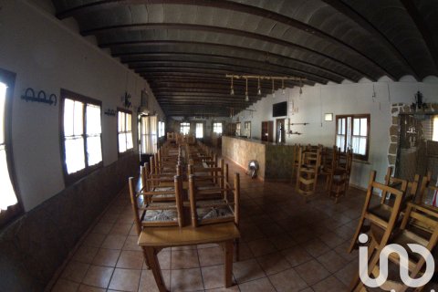 Tontti myytävänä Ulldecona, Tarragona, Espanja , 32675 m2 No. 153205 - kuva 15