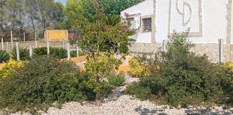 Tontti Ulldecona, Tarragona, Espanja 32675 m2 No. 153205