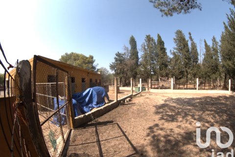 Tontti myytävänä Ulldecona, Tarragona, Espanja , 32675 m2 No. 153205 - kuva 29