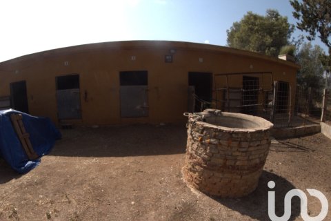 Tontti myytävänä Ulldecona, Tarragona, Espanja , 32675 m2 No. 153205 - kuva 30