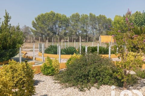 Tontti myytävänä Ulldecona, Tarragona, Espanja , 32675 m2 No. 153205 - kuva 6