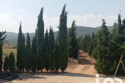 Tontti myytävänä Ulldecona, Tarragona, Espanja , 32675 m2 No. 153205 - kuva 7