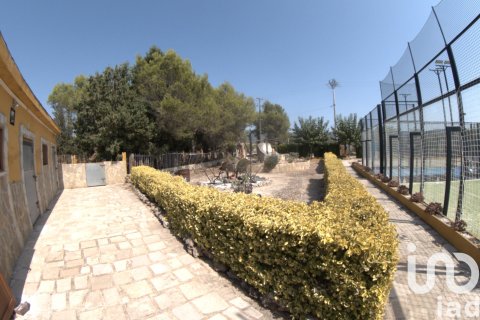 Tontti myytävänä Ulldecona, Tarragona, Espanja , 32675 m2 No. 153205 - kuva 21