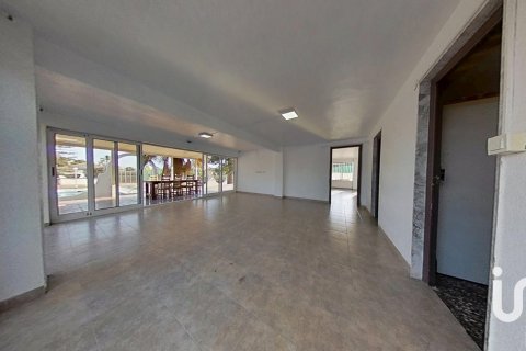 Продажа дома в Эльче, Аликанте, Испания 6 спален, 890м2 №153199 - фото 27