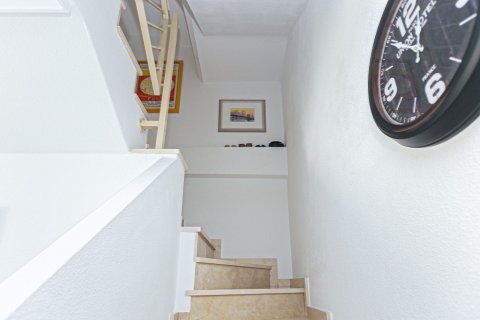 Māja pārdošanā Guardamar del Segura, Alicante, Spānijā 132 m2 Nr. 165988 - attēls 30