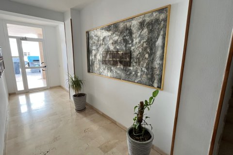 Huoneisto vuokrattavana Palma de Majorca, Mallorca, Espanja, 2 makuuhuonetta, No. 140602 - kuva 12