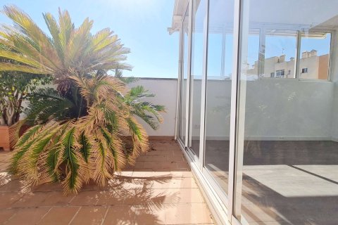 Dzīvoklis īrēšanai Palma de Majorca, Mallorca, Spānijā 2 istabas, 88 m2 Nr. 140598 - attēls 14