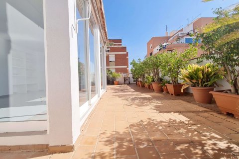 Dzīvoklis īrēšanai Palma de Majorca, Mallorca, Spānijā 2 istabas, 88 m2 Nr. 140598 - attēls 2