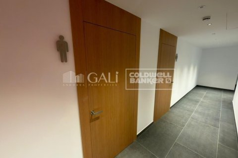 Oficina en alquiler en Principado De Andorra (Ninguna Poblacion Tiene C.P.), Lérida, España 94 m2 No. 160520 - foto 9