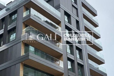 Oficina en alquiler en Principado De Andorra (Ninguna Poblacion Tiene C.P.), Lérida, España 94 m2 No. 160520 - foto 11