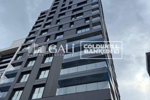 Büro zur Miete in Principado De Andorra (Ninguna Poblacion Tiene C.P.), Lleida, Spanien 94 m2 Nr. 160520 - Foto 13