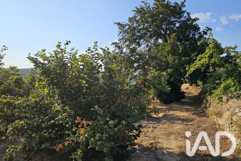 Продажа земельного участка в Альфория, Таррагона, Испания 66862м2 №187596 - фото 22