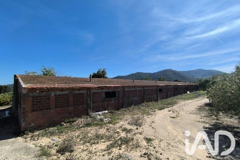 Продажа земельного участка в Альфория, Таррагона, Испания 66862м2 №187596 - фото 6