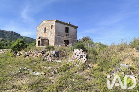 Продажа земельного участка в Альфория, Таррагона, Испания 66862м2 №187596 - фото 2