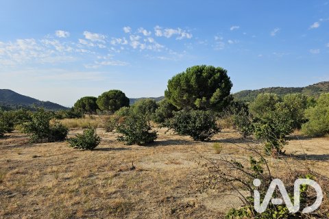 Продажа земельного участка в Альфория, Таррагона, Испания 66862м2 №187596 - фото 5