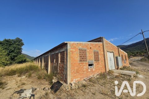 Продажа земельного участка в Альфория, Таррагона, Испания 66862м2 №187596 - фото 9