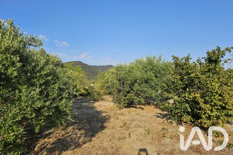 Продажа земельного участка в Альфория, Таррагона, Испания 66862м2 №187596 - фото 27