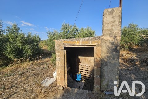 Продажа земельного участка в Альфория, Таррагона, Испания 66862м2 №187596 - фото 26