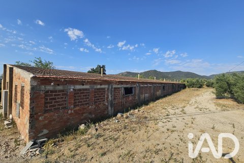 Продажа земельного участка в Альфория, Таррагона, Испания 66862м2 №187596 - фото 8